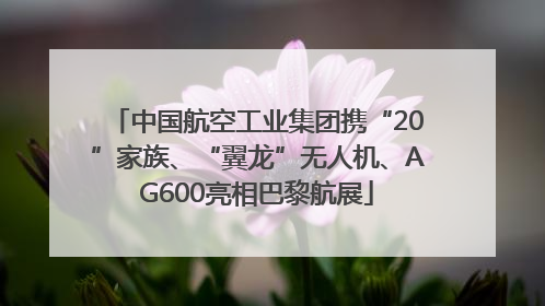中国航空工业集团携“20”家族、“翼龙”无人机、AG600亮相巴黎航展