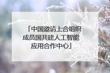 中国邀请上合组织成员国共建人工智能应用合作中心