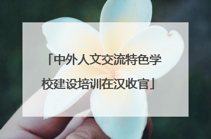 中外人文交流特色学校建设培训在汉收官