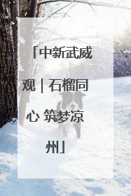 中新武威观｜石榴同心 筑梦凉州