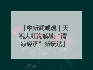 中新武威观｜天祝大红沟解锁“清凉经济”新玩法