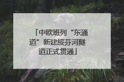 中欧班列“东通道”新建绥芬河隧道正式贯通