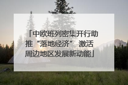 中欧班列密集开行助推“落地经济” 激活周边地区发展新动能