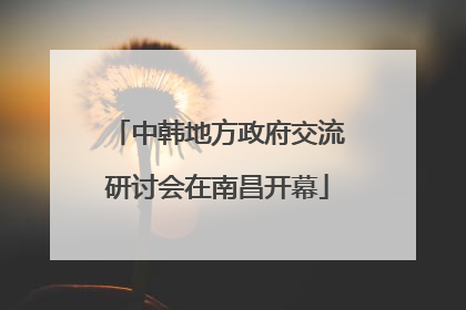 中韩地方政府交流研讨会在南昌开幕