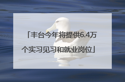 丰台今年将提供6.4万个实习见习和就业岗位