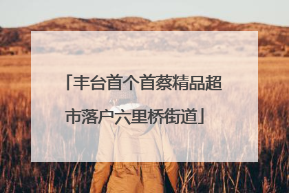 丰台首个首蔡精品超市落户六里桥街道