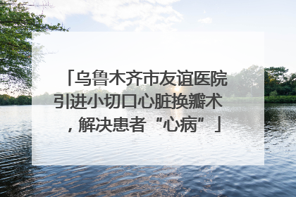 乌鲁木齐市友谊医院引进小切口心脏换瓣术，解决患者“心病”