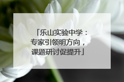 乐山实验中学：专家引领明方向，课题研讨促提升