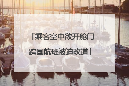乘客空中欲开舱门 跨国航班被迫改道