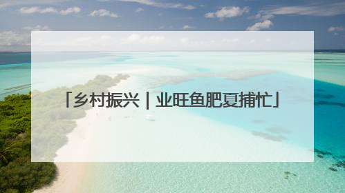 乡村振兴｜业旺鱼肥夏捕忙