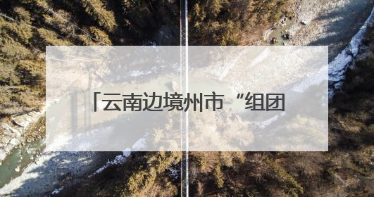 云南边境州市“组团”招商 边民互市落地加工成投资热点