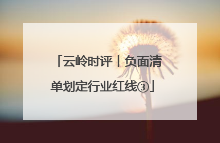 云岭时评丨负面清单划定行业红线③