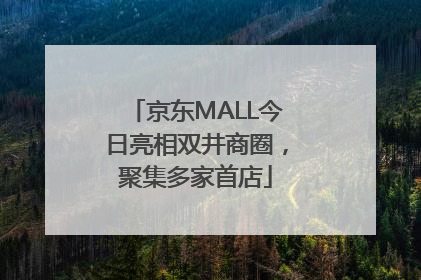 京东MALL今日亮相双井商圈，聚集多家首店