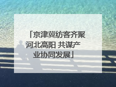 京津冀纺客齐聚河北高阳 共谋产业协同发展