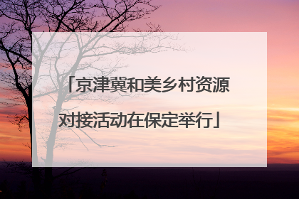 京津冀和美乡村资源对接活动在保定举行
