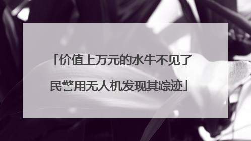 价值上万元的水牛不见了 民警用无人机发现其踪迹
