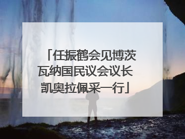 任振鹤会见博茨瓦纳国民议会议长凯奥拉佩采一行