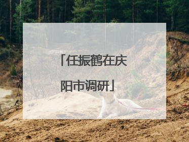 任振鹤在庆阳市调研