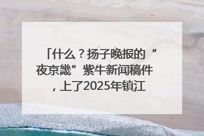 什么？扬子晚报的“夜京畿”紫牛新闻稿件，上了2025年镇江中考模拟卷！