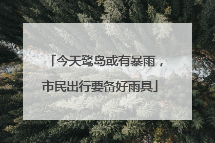 今天鹭岛或有暴雨，市民出行要备好雨具