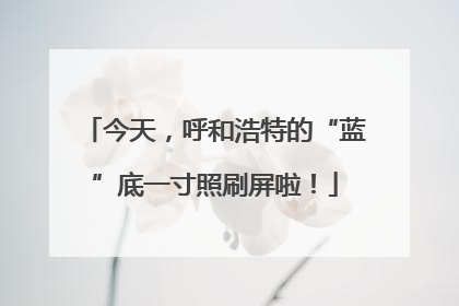 今天，呼和浩特的“蓝”底一寸照刷屏啦！