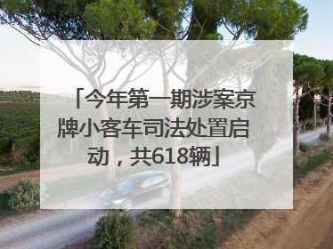 今年第一期涉案京牌小客车司法处置启动，共618辆
