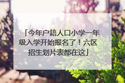 今年户籍人口小学一年级入学开始报名了！六区招生划片表都在这