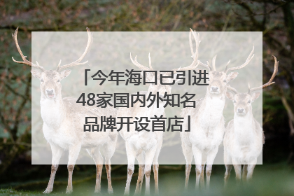 今年海口已引进48家国内外知名品牌开设首店