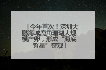 今年首次！深圳大鹏海域鹿角珊瑚大规模产卵，形成“海底繁星”奇观