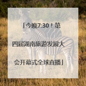 今晚7:30！第四届湖南旅游发展大会开幕式全球直播