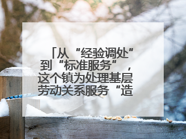 从“经验调处”到“标准服务”，这个镇为处理基层劳动关系服务“造标尺”