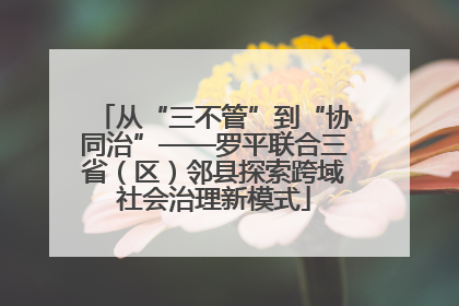 从“三不管”到“协同治”——罗平联合三省（区）邻县探索跨域社会治理新模式