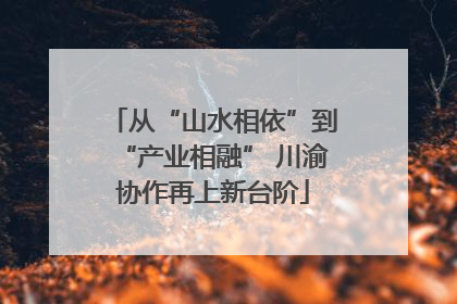 从“山水相依”到“产业相融” 川渝协作再上新台阶