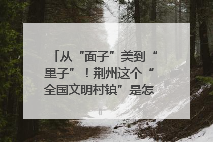 从“面子”美到“里子”！荆州这个“全国文明村镇”是怎样炼成的？