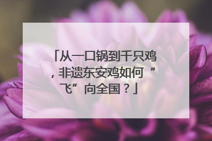 从一口锅到千只鸡，非遗东安鸡如何“飞”向全国？