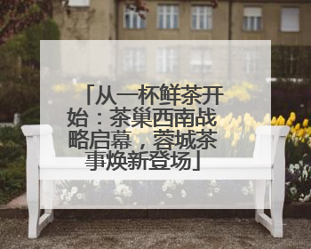 从一杯鲜茶开始：茶巢西南战略启幕，蓉城茶事焕新登场
