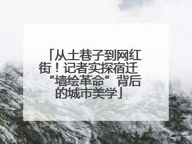 从土巷子到网红街！记者实探宿迁“墙绘革命”背后的城市美学
