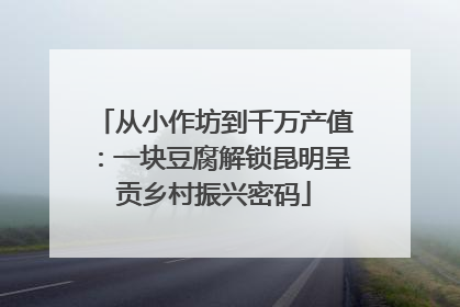 从小作坊到千万产值：一块豆腐解锁昆明呈贡乡村振兴密码