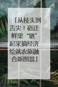 从枝头到舌尖！宿迁鲜果“链”起采摘经济绘就农旅融合新图景