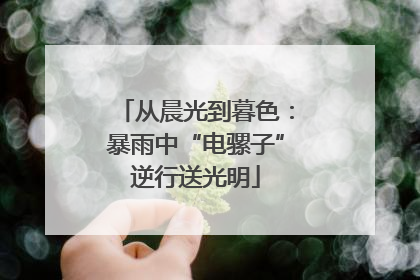 从晨光到暮色：暴雨中“电骡子”逆行送光明
