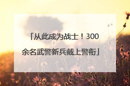 从此成为战士！300余名武警新兵戴上警衔