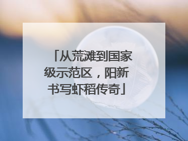 从荒滩到国家级示范区，阳新书写虾稻传奇