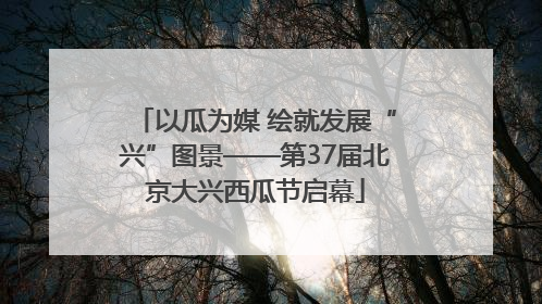 以瓜为媒 绘就发展“兴”图景——第37届北京大兴西瓜节启幕