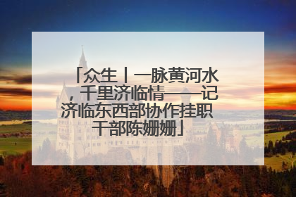 众生丨一脉黄河水，千里济临情——记济临东西部协作挂职干部陈姗姗