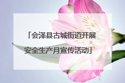 会泽县古城街道开展安全生产月宣传活动