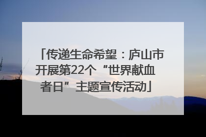传递生命希望：庐山市开展第22个“世界献血者日”主题宣传活动