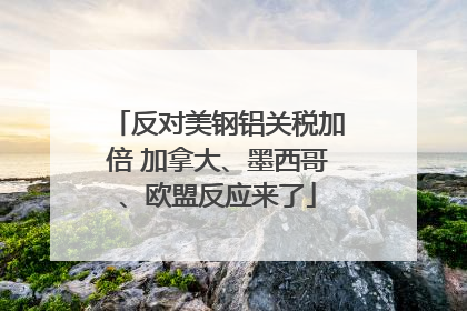 反对美钢铝关税加倍 加拿大、墨西哥、欧盟反应来了