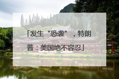 发生“恐袭”，特朗普：美国绝不容忍