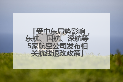 受中东局势影响，东航、国航、深航等5家航空公司发布相关航线退改政策