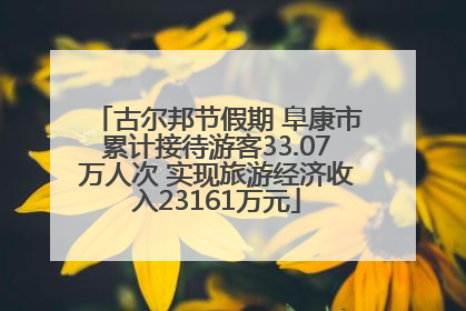 古尔邦节假期 阜康市累计接待游客33.07万人次 实现旅游经济收入23161万元